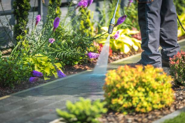 Best Sidewalk and Walkway Cleaning  in St Stephens, NC